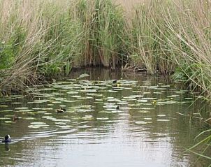 Unterkunft 552410 - Ferienhaus Noordwest Overijssel - Vakantiehuisje in IJsselmuiden