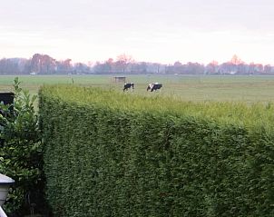 Unterkunft 552411 - Ferienhaus Noordwest Overijssel - Huisje in IJsselmuiden