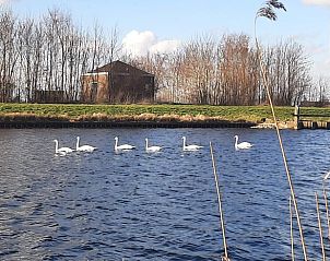 Unterkunft 552412 - Ferienhaus Noordwest Overijssel - Huisje in IJsselmuiden