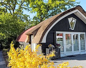 Verblijf 552701 - Vakantiewoning Noordwest Overijssel - Vakantiehuis Romantische Boscottage met Privacy