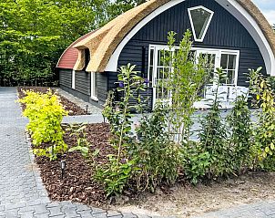 Verblijf 552701 - Vakantiewoning Noordwest Overijssel - Vakantiehuis Romantische Boscottage met Privacy
