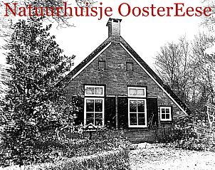 Artistieke weergave van Vakantiehuis in Eesveen in Noordwest-Overijssel omgeven door natuur.