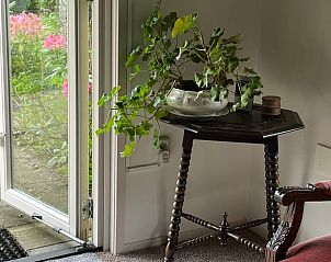 Gezellige hoek in Vakantiehuis in Eesveen in Noordwest-Overijssel met planten en decoratie.