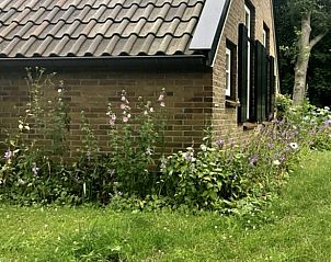 Zijaanzicht van Vakantiehuis in Eesveen in Noordwest-Overijssel met bloeiende tuin.