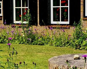 Bloementuin bij Vakantiehuis in Eesveen in Noordwest-Overijssel met kleurrijke bloemen.
