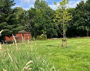 Unterkunft 552910 - Ferienhaus Noordwest Overijssel - Vakantiehuisje in Eesveen