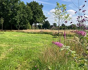 Unterkunft 552910 - Ferienhaus Noordwest Overijssel - Vakantiehuisje in Eesveen