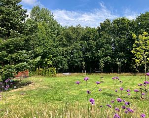 Unterkunft 552910 - Ferienhaus Noordwest Overijssel - Vakantiehuisje in Eesveen