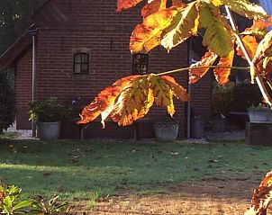 Herfstbladeren bij Huisje in Eesveen, prachtige natuurlijke omgeving in Noordwest Overijssel.