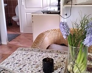 Knusse binnenruimte van Huisje in Eesveen met bloemen, comfortabel vakantiehuis in Overijssel.