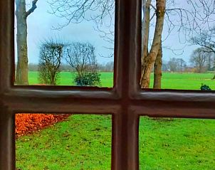 Uitzicht op groene velden vanuit Huisje in Eesveen, prachtige natuur in Noordwest Overijssel.