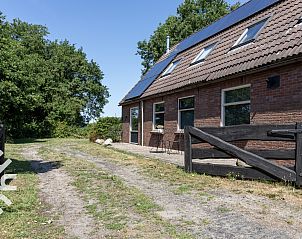Zonnige tuin bij vakantiehuis OV533 in Eesveen, met schaduwrijke bomen.