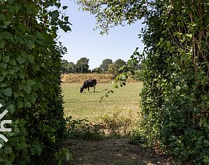 Gezellige tuinpad en houtopslag bij OV533 in Eesveen, Overijssel.