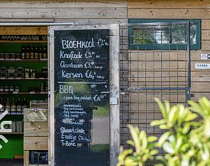 Unterkunft 552917 - Ferienhaus Noordwest Overijssel - OV660