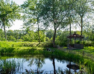 Vakantiehuis in Eesveen, serene vijver met tuinhuisje, Noordwest Overijssel, Overijssel.