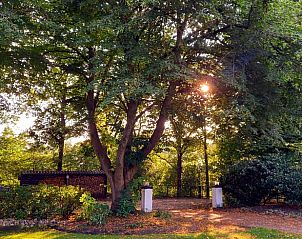 Vakantiehuis in Baars, serene tuin met oude bomen en zonnestralen in Noordwest Overijssel.