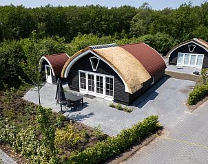 Luchtfoto van Vakantiehuis in Baars met rieten dak, omgeven door groene natuur in Overijssel.