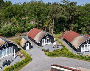 Groene omgeving van Vakantiehuis in Baars, perfect voor natuurliefhebbers in Overijssel.