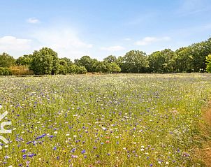Verblijf 553209 - Vakantiewoning Noordwest Overijssel - OV473