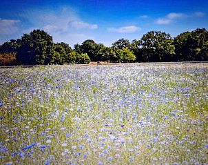 Verblijf 553210 - Vakantiewoning Noordwest Overijssel - Vakantiehuis in Baars