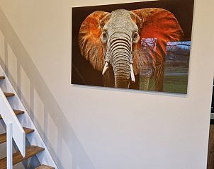 Verblijf 553210 - Vakantiewoning Noordwest Overijssel - Vakantiehuis in Baars