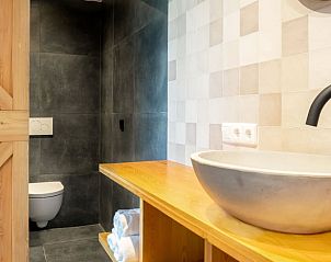 Elegante wastafel en toilet in het vakantiehuis Huisje in Staphorst, gelegen in het serene Overijssel.