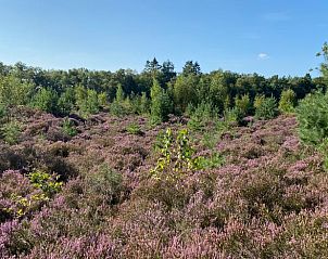 Unterkunft 553313 - Ferienhaus Noordwest Overijssel - Vakantiehuisje in Staphorst