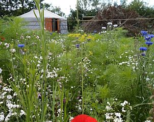 Unterkunft 553402 - Ferienhaus Noordwest Overijssel - Vakantiehuisje in Zalk