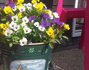 Unterkunft 553406 - Ferienhaus Noordwest Overijssel - Vakantiehuisje in Zalk