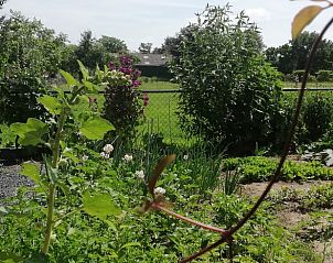 Unterkunft 553406 - Ferienhaus Noordwest Overijssel - Vakantiehuisje in Zalk