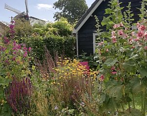 Unterkunft 553406 - Ferienhaus Noordwest Overijssel - Vakantiehuisje in Zalk
