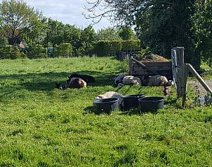 Unterkunft 553406 - Ferienhaus Noordwest Overijssel - Vakantiehuisje in Zalk