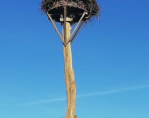 Unterkunft 553406 - Ferienhaus Noordwest Overijssel - Vakantiehuisje in Zalk