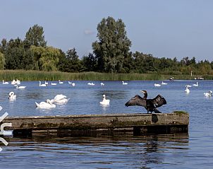 Unterkunft 553701 - Ferienhaus Noordwest Overijssel - OV517