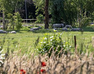 Unterkunft 553701 - Ferienhaus Noordwest Overijssel - OV517