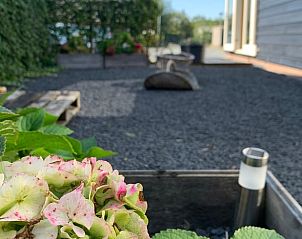 Geniet van de serene tuin met bloemen bij Huisje in Abcoude, een charmant vakantiehuis in Utrecht noord, ideaal voor ontspanning.