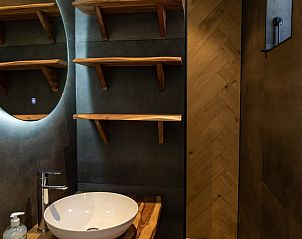 Moderne badkamer in Huisje in Abcoude, vakantiehuis in Utrecht noord, met houten details.