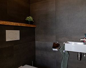 Stijlvol toilet in Huisje in Abcoude, vakantiehuis in Utrecht noord, met donkere tegels.
