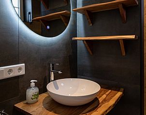 Badkamer in Huisje in Abcoude, vakantiehuis in Utrecht noord, met elegante wasbak.