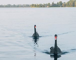 Verblijf 560432 - Vakantiewoning Utrecht noord - Vakantiehuis in Vinkeveen
