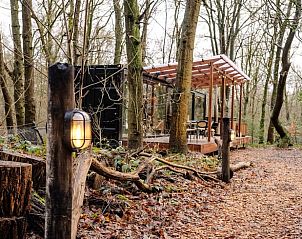 Bosrijke omgeving van Huisje in Amersfoort, vakantiehuis in Utrecht noord.