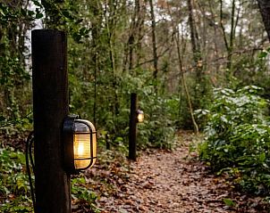Verlichte bosweg naar Huisje in Amersfoort, vakantiehuis in Utrecht noord.