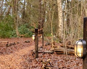 Verlichte bospad naar Huisje in Amersfoort, vakantiehuis in Utrecht noord.