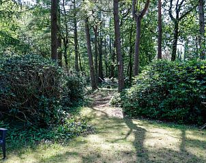 Bosrijke omgeving van Vakantiehuisje in Baarn, Utrecht noord, met wandelpaden en natuur.