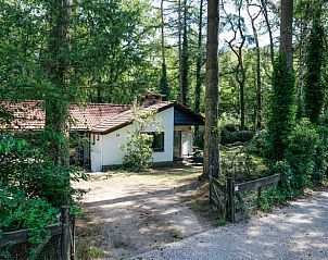 Vakantiehuisje in Baarn, Utrecht noord, omgeven door bomen en groen voor een rustige vakantie.