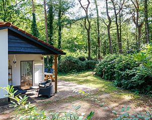 Gezellige buitenruimte van Vakantiehuisje in Baarn, Utrecht noord, met zithoek en natuur.