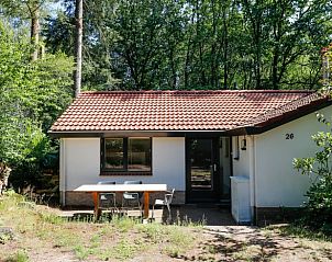 Achterzijde van Vakantiehuisje in Baarn, Utrecht noord, met groene tuin en terras.