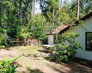 Natuurlijke omgeving van Vakantiehuisje in Baarn, Utrecht noord, ideaal voor ontspanning.