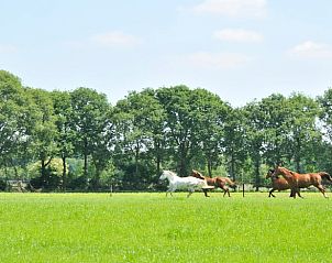 Unterkunft 560830 - Ferienhaus Utrecht noord - Huisje in Soest