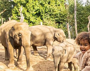 Unterkunft 560830 - Ferienhaus Utrecht noord - Huisje in Soest
